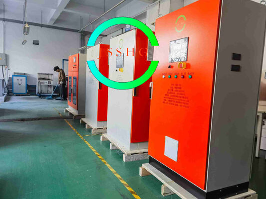 Fully automatic electrolytic saltwater sodium hypochlorite generator
